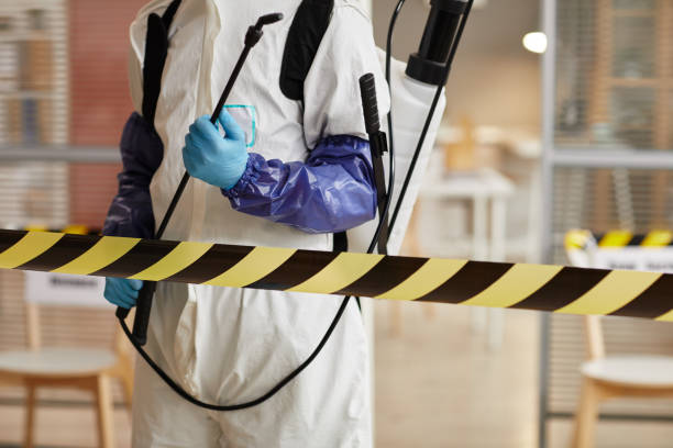 Professional Hoarding Cleanup technician working in Altoona, FL